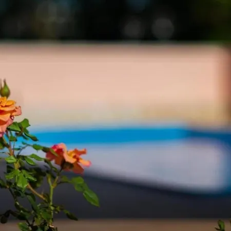 Mary Tatil Evi Ližnjan